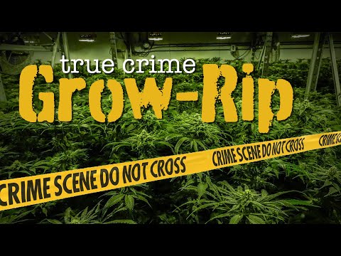 A True Crime Cannabis Investigation: "Hell’s Gate"