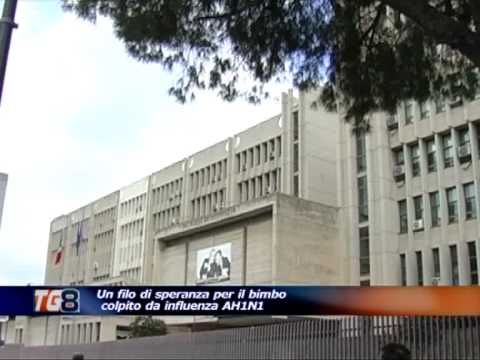 SVZ BIMBO VITO FAZZI 3