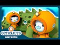 Octonauts Saltwater Crocodile Team Rescue ️ Season 2 Best Bits