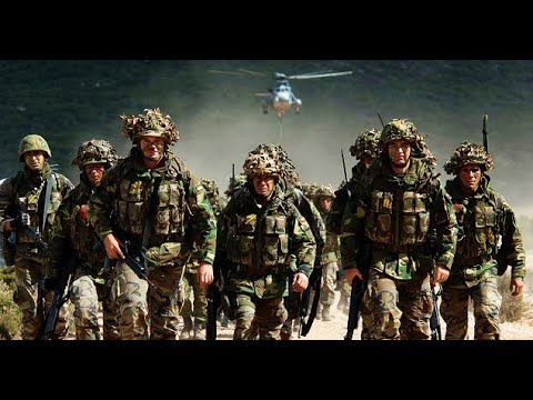 NATO readies to defend its borders: How alliance has positioned its forces on Europe's eastern flank