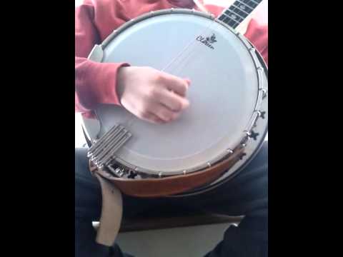 The Sally Gardens (Reel)