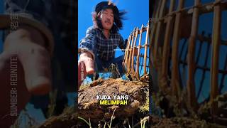 Download lagu Orang Mongolia Masak dengan Kotoran Hewan!! #shorts #mongoliafood #faktaunik mp3