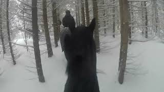 syd riding trail dec 24 2024