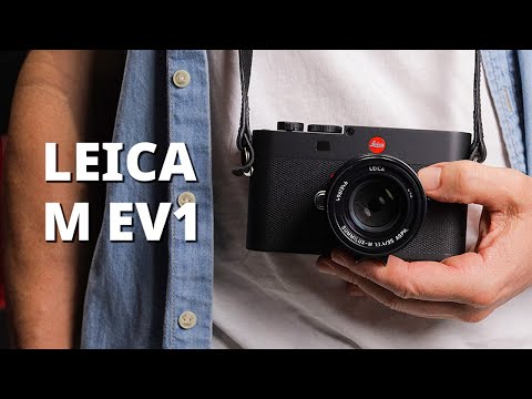 Miniatura del v&iacute;deo