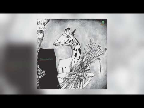 Mushrooms Project - Bournemouth [Audio]