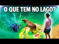 O QUE TEM NO LAGO UMA SÉRIE DOS PEQUENOS PRÍNCIPES