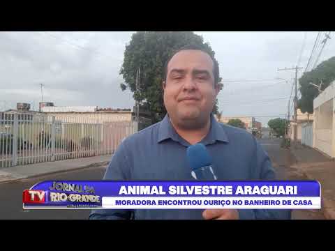 ANIMAL SILVESTRE ARAGUARI