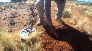 Ian&#39;s Deep Gold Find Leonora 2014