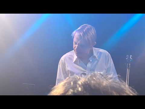 The Rays    David Bowie tribute