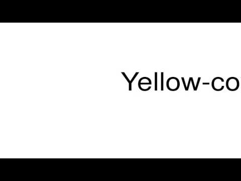 How to pronounce Yellow-covered