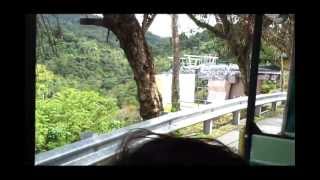 preview picture of video 'De vaca @ Parque Forestal La Marquesa, Guaynabo, PR Julio 2012'
