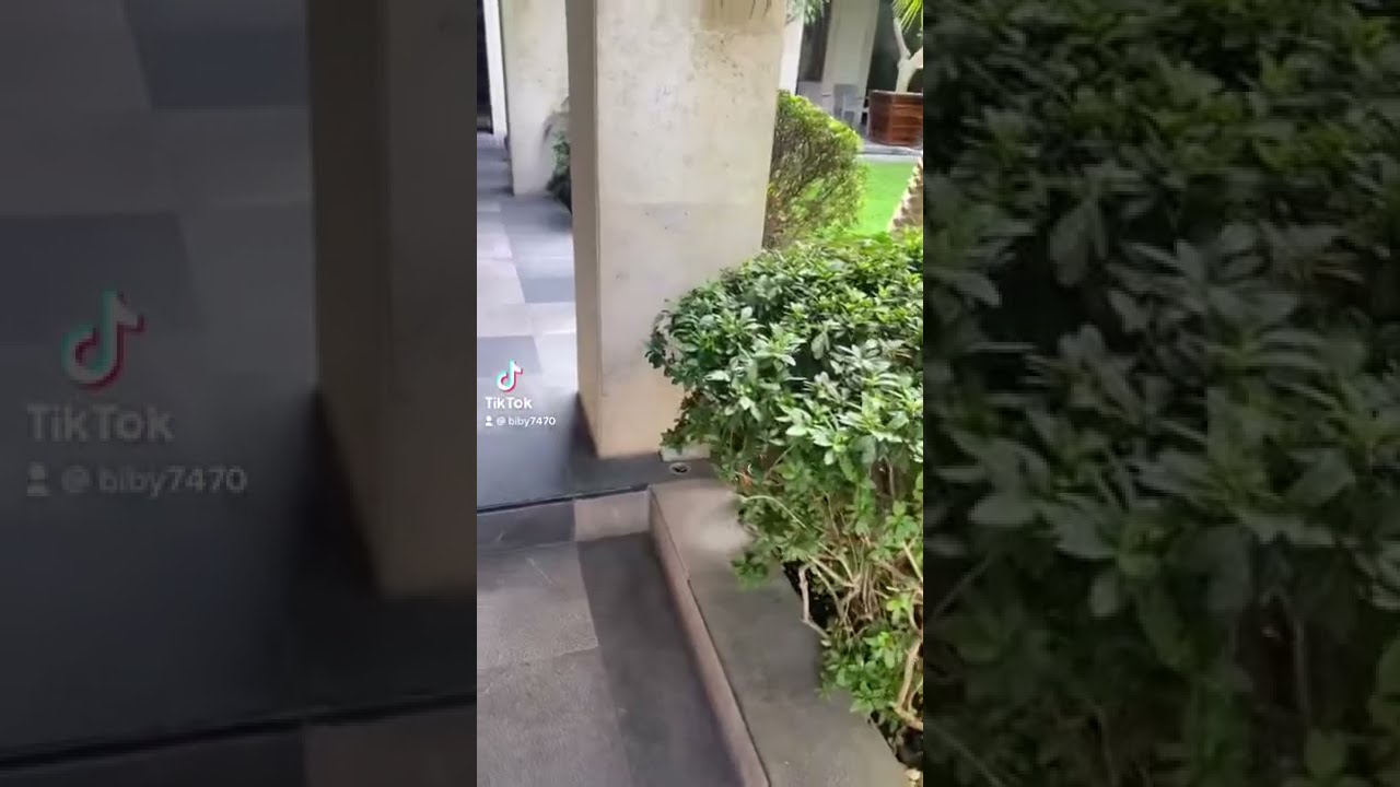 Bibiana Delgado García-22