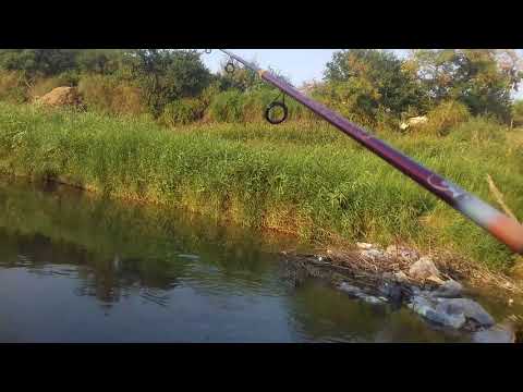 Pescuit la clean pe Cricov