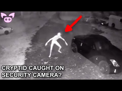 Are Ghosts and Cryptids All Around Us?  (Evidence)