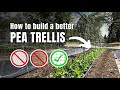 How to Build a Functional Pea Trellis