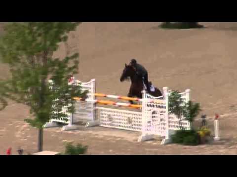 Video of CUZCO ridden by CARLOS QUINONES from ShowNet!