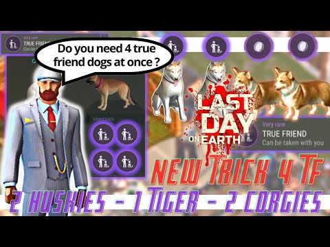 Steps to get True Friend Dogs - Only 4 | FINAL | Last Day On Earth Survival