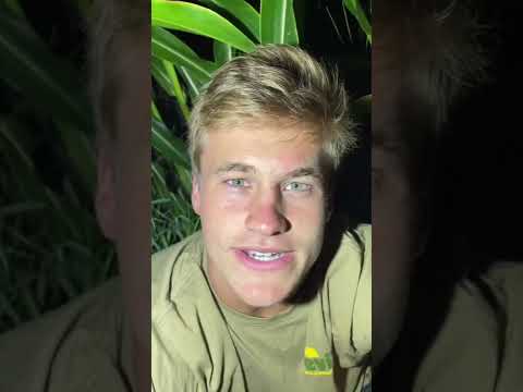 It’s CORN!!!🌽 #shorts #viral #funny #vibes #corn