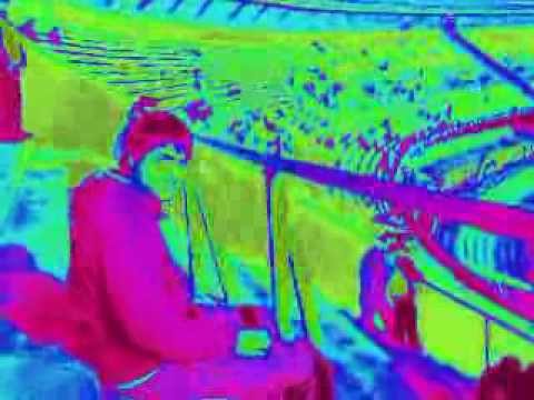 argentina vs colombia 2009