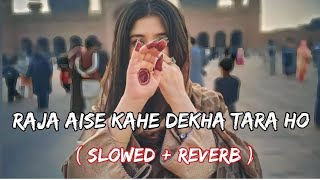 Raja Aise Kahe Dekha Tara Ho  Slowed + Reverb   Bh