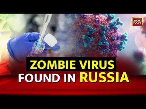 48,500-Year-Old Zombie Virus Revived In Russia: What Is The Pandoravirus & Is It Killer?