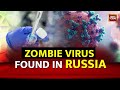 48 500 Year Old Zombie Virus Revived In Russia What Is The Pandoravirus Is It Killer