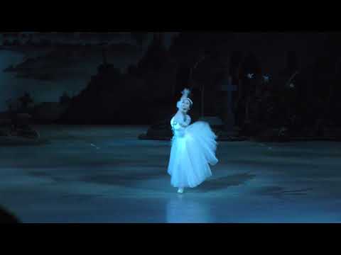 24/03/19 Maria Bulanova Myrtha