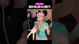 리센느 X 태양 챌린지