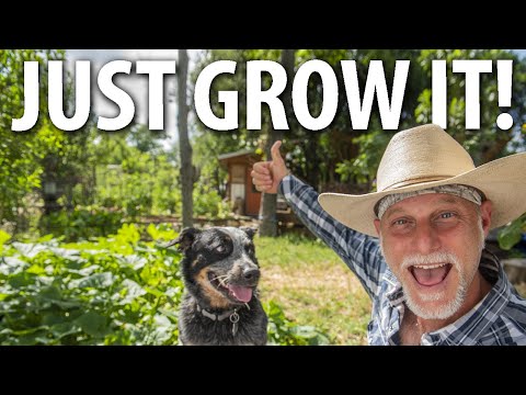 Food Forest Permaculture Homestead (Tour)