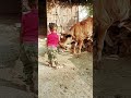 Goron Ki Na Kalon Ki Duniya Hai Dilwalon
