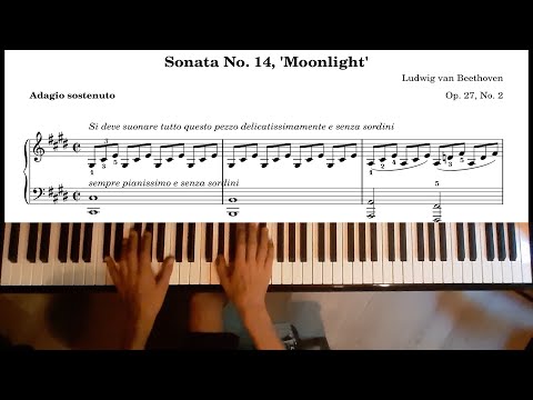 Beethoven - Moonlight Sonata 1st Movement in c# minor