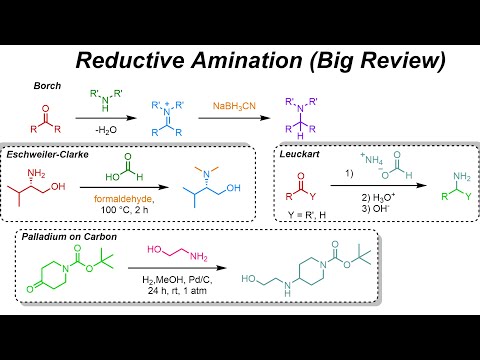 Reductive Amination & Amide Synthesis (IOC 40)