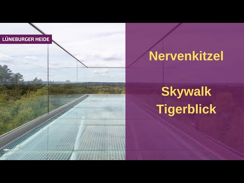 SKYWALK TIGERBLICK | Baumwipfelpfad Heide Himmel | Lüneburger Heide
