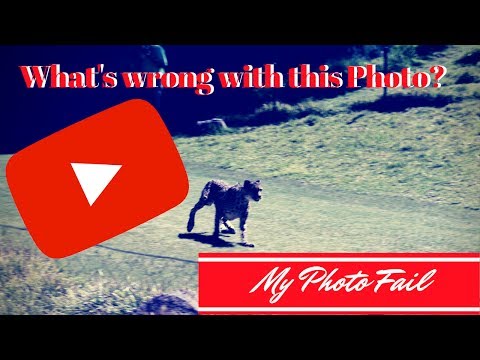 Photo Friday - #Fail