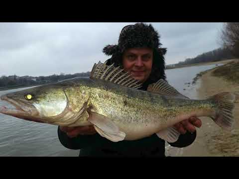 FISHING FOR ZANDER IN A RIVER ON A HALF-DEPTH FALL