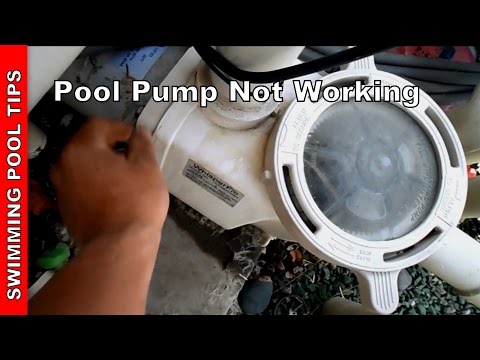 Pool Pump not Working, Part 1- Pump not Priming Video