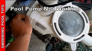 Pool Pump not Working, Part 1- Pump not Priming