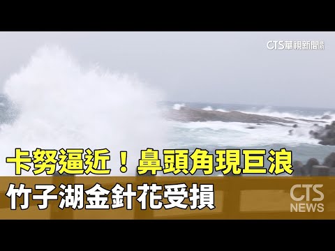 卡努逼近！　鼻頭角現6.3米高巨浪　竹子湖金針花受損