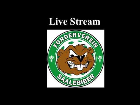 Pokalspiel USV Halle Saalebiber - Baltic Storms