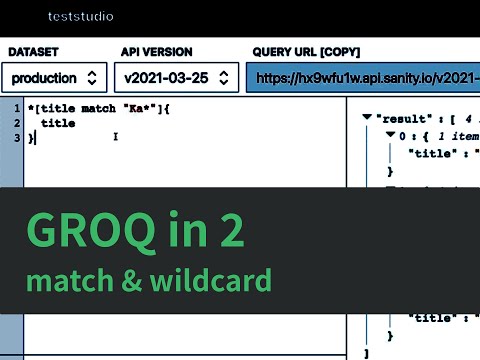 GROQ in 2 - match & wildcard