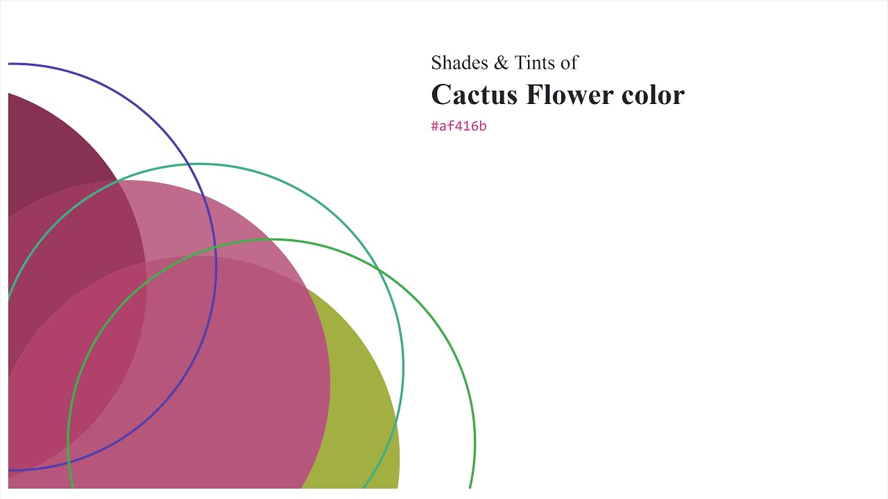 Shades & Tints of Cactus Flower color #af416b A Warm Red color #9b395f #883253 #b7567b #c06b8b