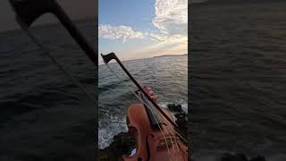 Download lagu Binks sake on a violin #onepiece #binkssake mp3