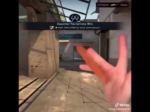 Csgo hotdog inspect knife meme