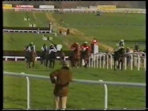 1982 Mackeson Gold Cup Handicap Chase