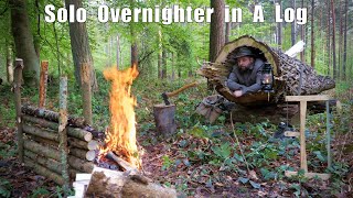 Solo Overnighter in a Hollow Log - felling a tree for fire wood, spit roast beef