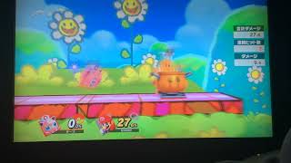 【スマブラSP】コックカワサキ眠る