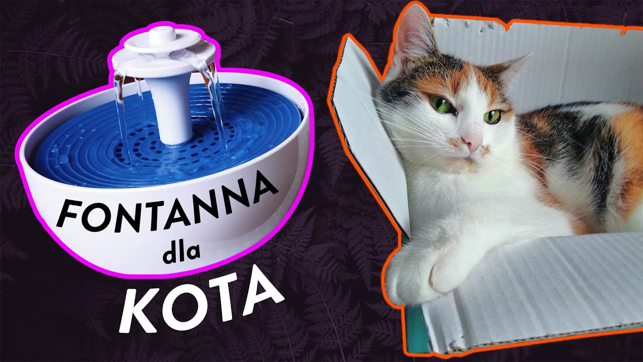 Fontanna dla kota z Rossmanna (ft.Freya) Poidło automatyczne dla kota 🎃Spooktober 2020 #4