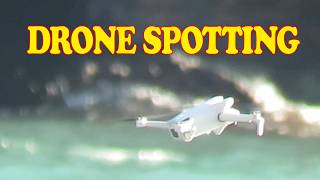 Multirotor Spotting - Hope Cove - 20260515