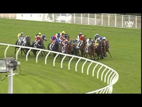 2013 BMW Doncaster Handicap -Sacred Falls