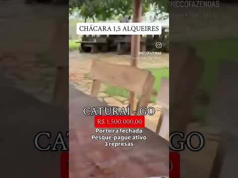 Chácara 1.5 Alqueires em Caturaí GO / whatsapp 62 99373-6407